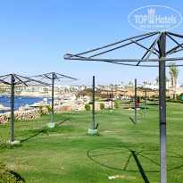 фото из отзыва ID 2684854