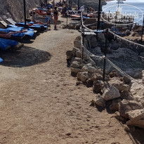 фото из отзыва ID 2684854