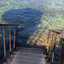 фото из отзыва ID 2684854