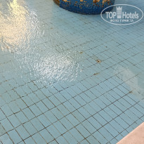 фото из отзыва ID 2684854