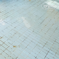 фото из отзыва ID 2684854