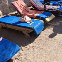 фото из отзыва ID 2684854