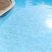 фото из отзыва ID 2684854