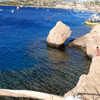 фото из отзыва ID 2684854