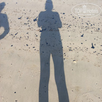 фото из отзыва ID 2684866