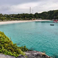 фото из отзыва ID 2684849