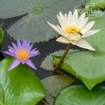 фото из отзыва ID 2684849