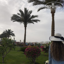 фото из отзыва ID 2684881