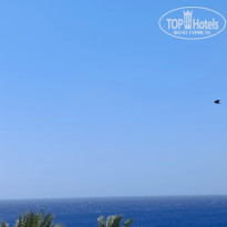 фото из отзыва ID 2684854