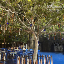 фото из отзыва ID 2684887