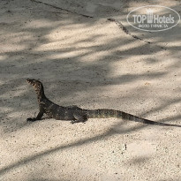 фото из отзыва ID 2684849