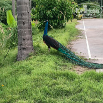 фото из отзыва ID 2684849