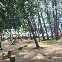 фото из отзыва ID 2684845