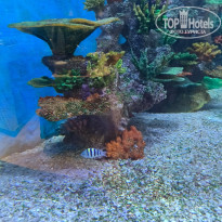 фото из отзыва ID 2684933