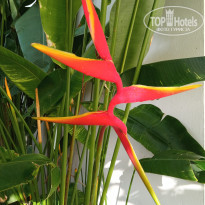 фото из отзыва ID 2684950