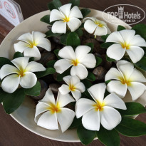 фото из отзыва ID 2684950