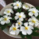 фото из отзыва ID 2684950