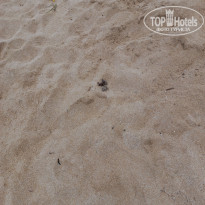 фото из отзыва ID 2685010