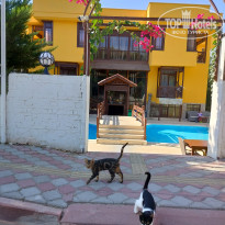 фото из отзыва ID 2685011