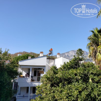 фото из отзыва ID 2685011