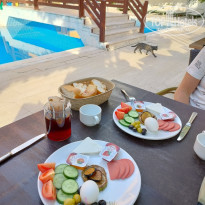 фото из отзыва ID 2685011