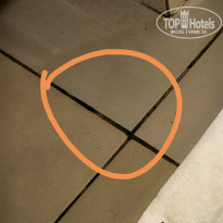 фото из отзыва ID 2685057