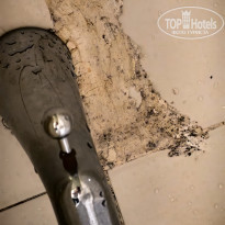 фото из отзыва ID 2685057