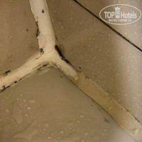 фото из отзыва ID 2685057