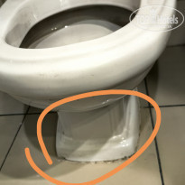 фото из отзыва ID 2685057