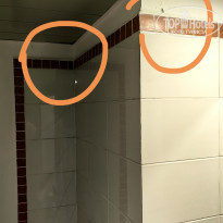 фото из отзыва ID 2685057