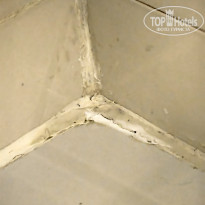 фото из отзыва ID 2685057