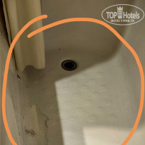 фото из отзыва ID 2685057