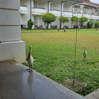 фото из отзыва ID 2685096