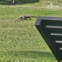 фото из отзыва ID 2685096