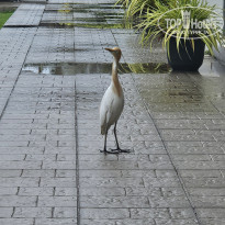 фото из отзыва ID 2685096