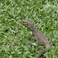 фото из отзыва ID 2685096