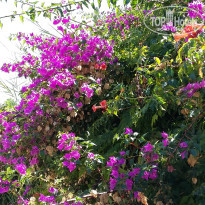 фото из отзыва ID 2684276