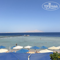 фото из отзыва ID 2685101