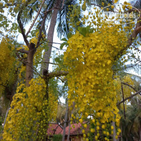 фото из отзыва ID 2685081