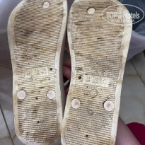 фото из отзыва ID 2685121