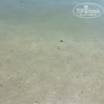 фото из отзыва ID 2685121