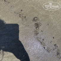 фото из отзыва ID 2685121