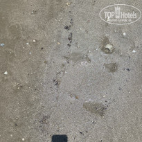 фото из отзыва ID 2685121