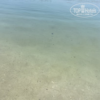 фото из отзыва ID 2685121