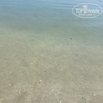 фото из отзыва ID 2685121