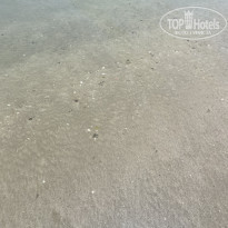 фото из отзыва ID 2685121