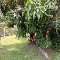 фото из отзыва ID 2685067