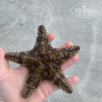 фото из отзыва ID 2685136