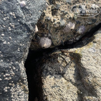 фото из отзыва ID 2685145