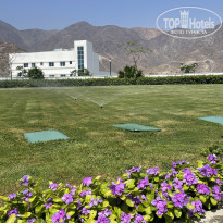 фото из отзыва ID 2685145